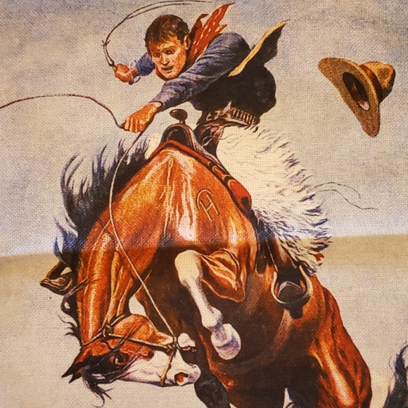 Western Pillow Cowboy Rodeo Horse Bronc Rider - Picture 5 of 11